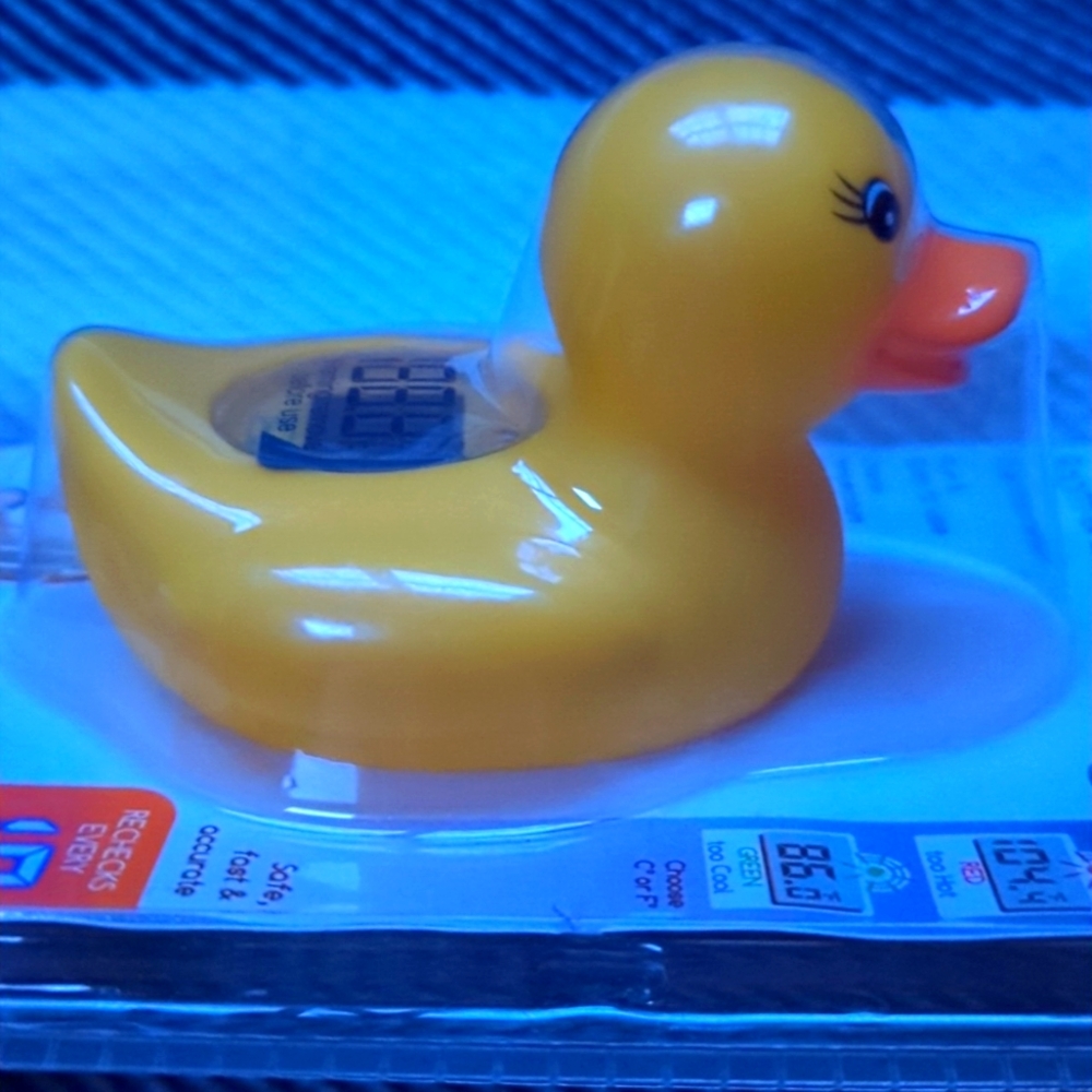 Room and Bath Duck Thermometer